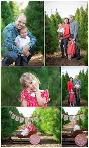Christmas Mini Sessions In San Diego Ana S Christmas Tree Farm Session Christmas Tree Farm Mini Session Tree Farm Mini Session Christmas Tree Farm
