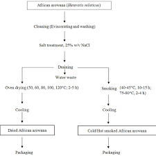 Flow Chart For Processing Of African Arowana Heterotis