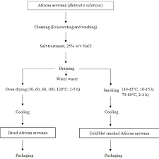 flow chart for processing of african arowana heterotis