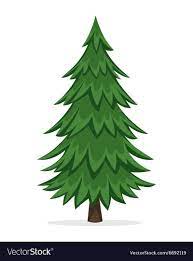 Cartoon Illustration Of The Pine Tree Download A Free Preview Or High Quality Adobe Illustrator Ai Eps Pdf Pine Tree Drawing Tree Drawing Tree Illustration