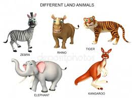 Animal Stock Pictures Royalty Free Wild Animal Chart