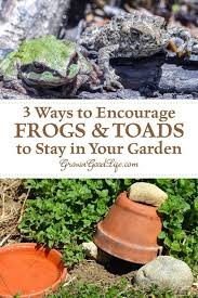 Check spelling or type a new query. How To Attract Frogs And Toads To Your Garden Garden Frogs Frog And Toad Garden Pests