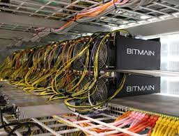 With the rewards being halved and difficulty level rising, there aren't many individual miners like before. Bitcoin Miners Face Fight For Survival Otago Daily Times Online News
