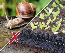 Pin Auf Garden