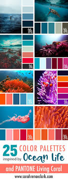 Their wide range of colors are caused by a number of factors, including life that inhabits them and environmental conditions. 25 Color Palettes Inspired By Ocean Life And Pantone Living Coral