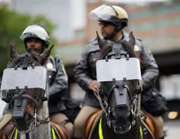 Pin On Law Enforcement Horses