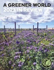 Image result for Bersama yangambiensis