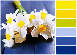 This Color Scheme Is Perfect For Summer Parties A New Room Design And Everything In Between Farbkombination Farbtrends Wandfarbe