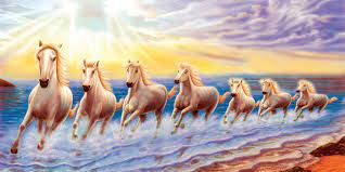 Free download new latest horse hd desktop wallpapers background, popular wide screen pets animals images in high quality, most download photos & 1080p pictures, black, white and red horse, foal, colt, filly, race horses. Full Hd 7 Horse Wallpaper Wallpaper