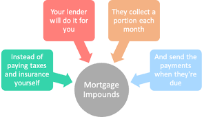 We did not find results for: Mortgage Impounds Vs Paying Taxes And Insurance Yourself The Pros And Cons