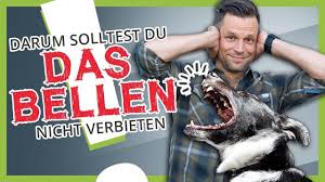 wie du deinem hund das bellen abgewohnst effektiv und einfach youtube bellen abgewohnen hundeerziehung tipps hundchen ubung