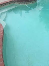 Get Rid Of Yellow Algae In 2020 Salt Pool Swimming Pool Chlorine Pool Chlorine