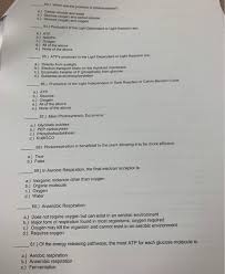 Cellular respiration or glucose is a product of photosynthesis. Solved 53 Which Are The Products Of Photosynthesis A Chegg Com