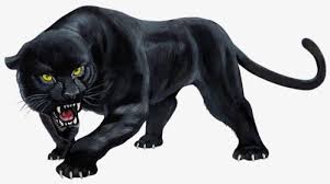 We hope you enjoy our growing collection of hd images to use as a background or please contact us if you want to publish an angry black panther animal wallpaper on our site. ÙˆØ­Ø´ÙŠØ© Ø§Ù„Ù†Ù…Ø± Ø§Ù„Ø§Ø³ÙˆØ¯ Black Panther Tattoo Black Panther Art Black Cat Tattoos