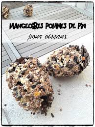 Mangeoire Pomme De Pin Pour Oiseaux Pomme De Pin Pomme De Pin Oiseau Pomme De Pin Bricolage