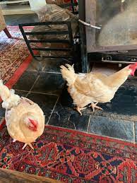 Jun 19, 2021 · minister of finance tito mboweni and president cyril ramaphosa have since last year been talking about zero based budgeting. Tito Mboweni On Twitter These Ones Decided To Come Into The House Eff Tendencies Hayibo