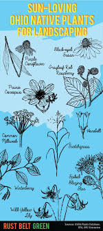 Maybe you would like to learn more about one of these? Pin On Eco Infographics