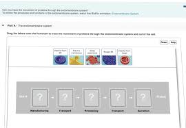 Solved Can You Trace The Movement Of Proteins Through The