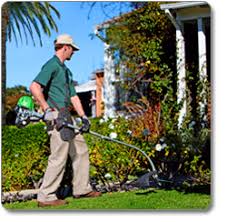 Weed eater offers a range of gas and battery powered lawn and garden products, including trimmers, blowers, hedge trimmers and lawn mowers. Amazon Com Lehr St025dc 25cc Propane Powered 4 Stroke Detachable Curved Shaft Eco Trimmer String Trimmers Garden Outdoor