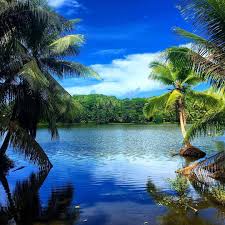 Agong's birthday is a holiday that is oriented around the celebration of the malaysian king's birthday. Public Holidays Pubholidays Twitter