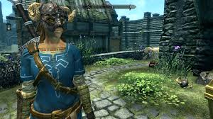 Nov 16, 2017 · the legend of zelda amiibo. Skyrim Champion S Tunic Upgrade