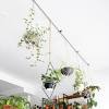 1 triflora hanging window planter. 1