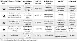 adrenergic receptors as pharmacological targets for