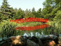 Champaign County Forest Preserve District Forest Preserve Beautiful Gardens Champaign