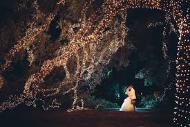 Find wedding photographers listings in houston, texas. Houstonian Hotel Club Spa Reception Venues The Knot