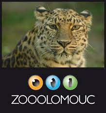 Zoo olomouc na svatém kopečku se nalézá asi 10 km od centra olomouce na okraji nízkého jeseníku ve směru jízdy na šternberk. Zoo Olomouc Home Facebook
