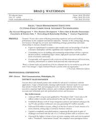 it sales resume example