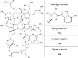 Elevated homocysteine levels in blood are a risk factor for (more information). Structure Of Vitamin B12 With The Alternative Upper Ligands R And Download Scientific Diagram
