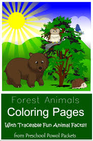 We've got all the popular animals to color including cats, dogs, farm animals, lions, birds, fish and so much more! Free Forest Animal Coloring Pages