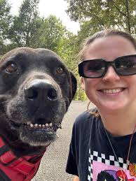 Pet Sitting and Dog Walking Services in Davis