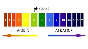 causing reactions poinsettia ph paper holiday chemistry