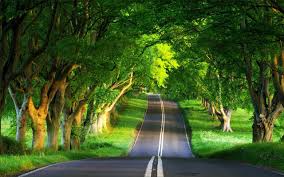 Windows Nature Wallpapers Top Free Windows Nature Backgrounds Wallpaperaccess 2560x1600 3d nature wallpaper for windows 7 free desktop 8 hd wallpapers. windows nature wallpapers top free