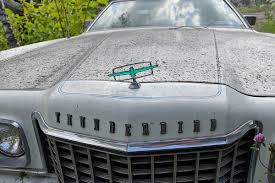 Image result for Bright Lime Starfire 1975 Thunderbird