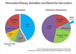 Renewable Energy Subsidies And Electricity Generation