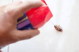 These emit a scent that attracts the cockroaches. How To Get Rid Of Cockroaches