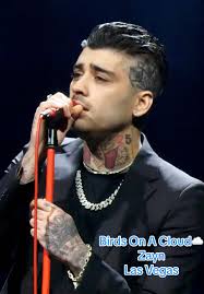 Zayn Bird Mount Gambier