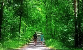 Check spelling or type a new query. Nature S Beauty Is A Reflection Of Our Inner Beauty The Daily Guardian
