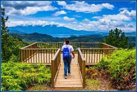See more ideas about honduras, cerro azul, bird watching tower. Parque Nacional Cerro Azul Meambar Panacam Honduras Beautiful Places Natural Landmarks Outdoor