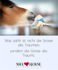 Wunderschone Spruche Und Pferdewahrheiten Pferdespruche Pferde Zitate Pferd