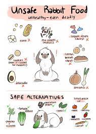 As well rabbits can possibly suffer from diarrhea and cause intestinal issues. Unsafe Rabbit Food Safe Alternatives Rabbit Food Rabbit Diet Pet Rabbit