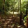 Kawasan ini melibatkan zon sekitar bukit st. 1