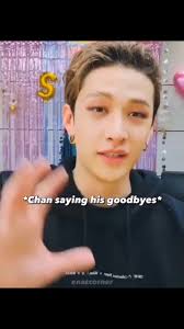 Stray kids seungmin that makes, crazy their members, Follow for more.,  Share for more., Ctto, #straykidsしてください #straykidsstay #StrayKids #stay  #fbreels #funnymoments #funnykpop #trending #viral #reels ...