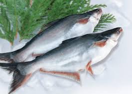 We did not find results for: What Is Swai Fish How Healthy It S For You Health Overdosed