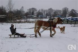 Schnee in der Grafschaft