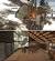 Ark Cabin Designs