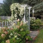 Annual Northville Garden Walk